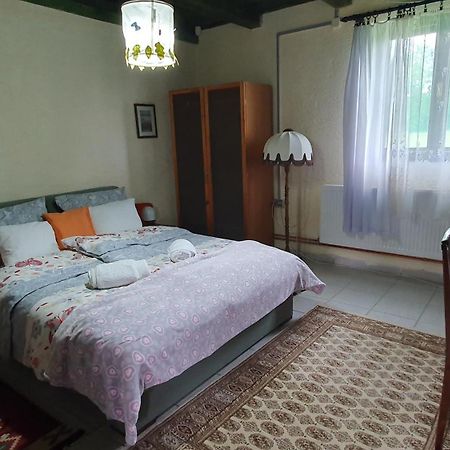 Etno Salas - Etno Ranch - Seosko Turisticko Domacinstvo Villa Palić Exterior foto