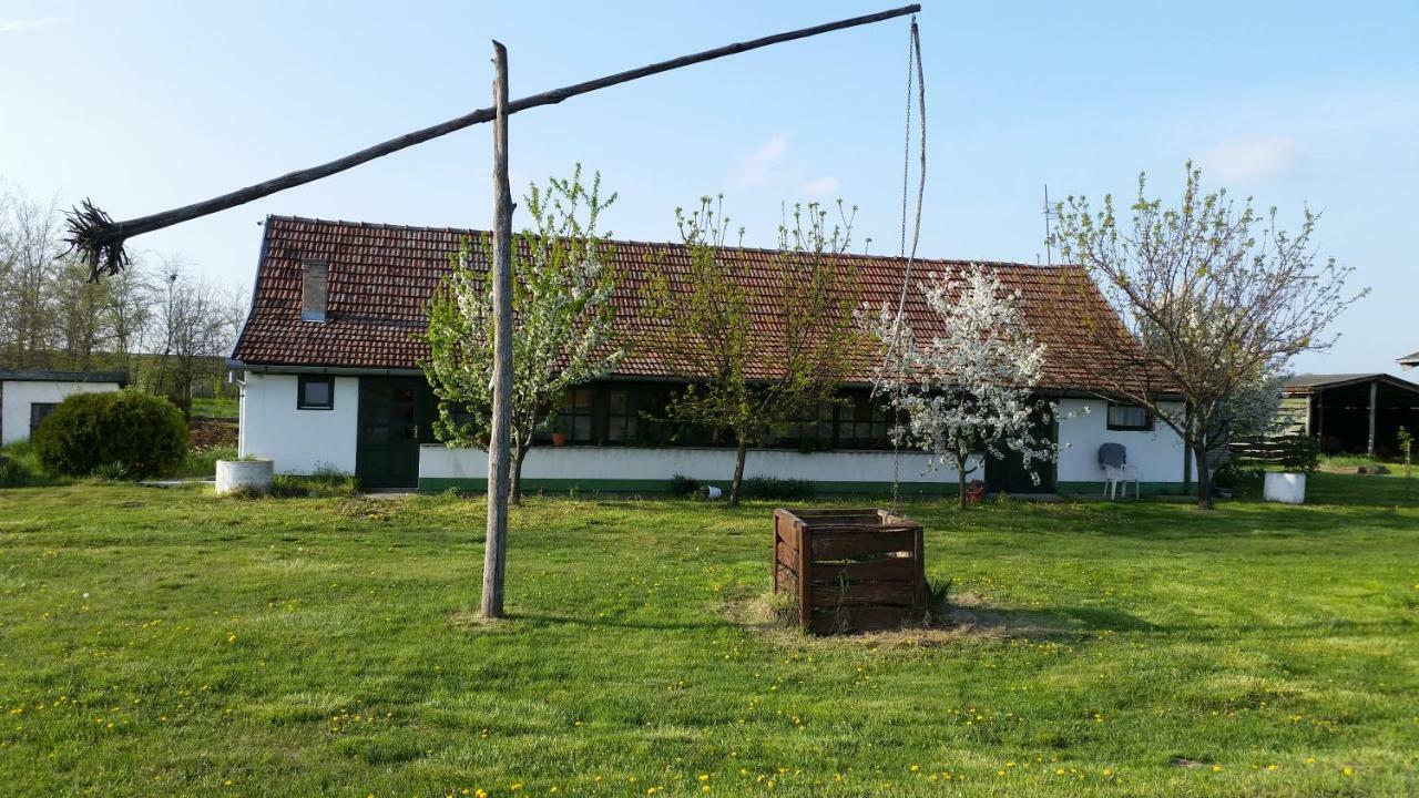 Etno Salas - Etno Ranch - Seosko Turisticko Domacinstvo Villa Palić Exterior foto